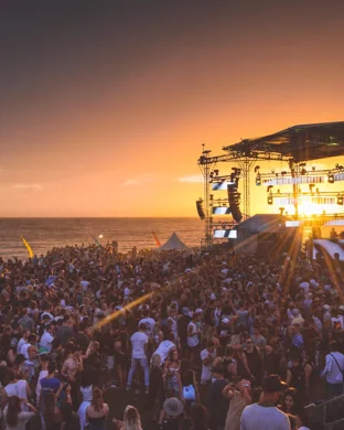 Live concert by Dark Ceremony Festival