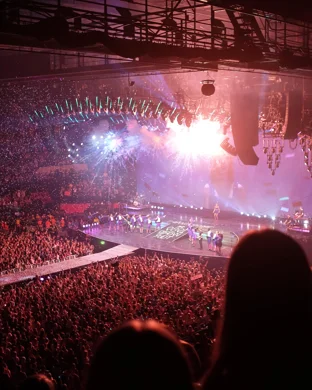 Dark Horse - Nickelback Tribute