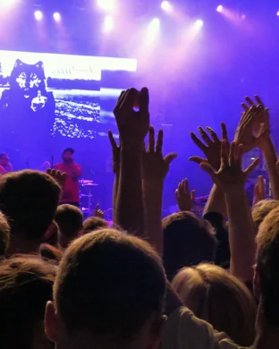 Who's Bad - Michael Jackson Tribute Band