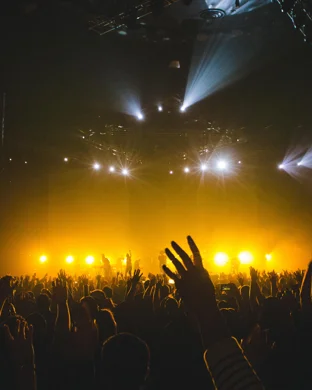 Serpentine Fire - A Tribute To Earth, Wind & Fire