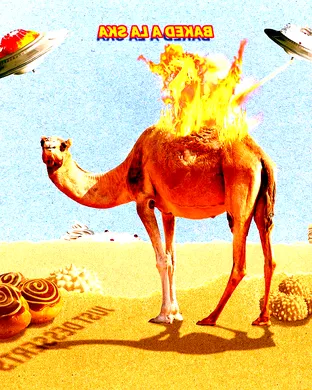 Live concert by Abracadabra