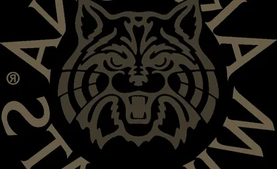 Arizona Wildcats
