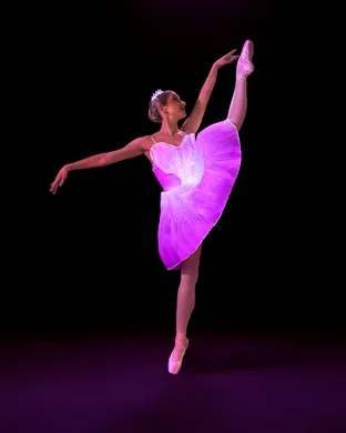 Ballet of Lights: Sleeping Beauty in a Sparkling Show