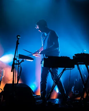 Bonobo