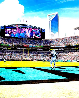 NFL Preseason: Carolina Panthers vs. Houston Texans  sports event