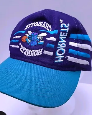 Charlotte Hornets vs. Houston Rockets