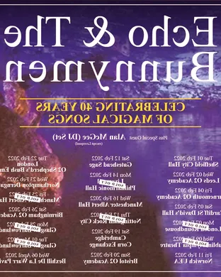 Echo and The Bunnymen