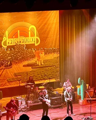 Futurebirds Houston