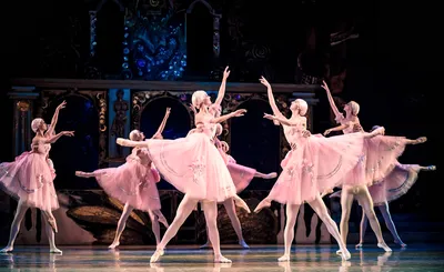 Grand Kyiv Ballet