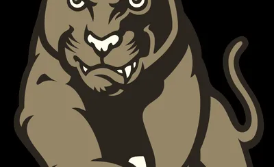 Houston Cougars Football