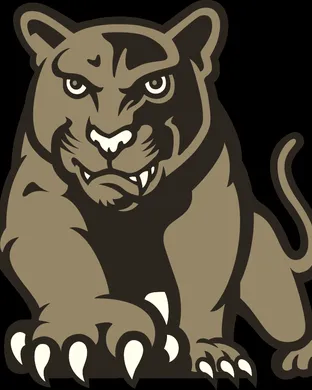 Houston Cougars Football