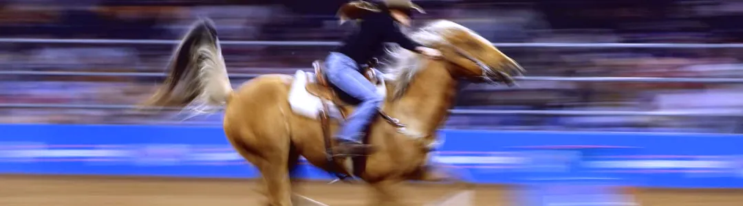 Houston Livestock Show And Rodeo