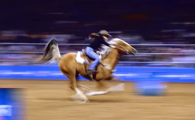 Houston Livestock Show And Rodeo