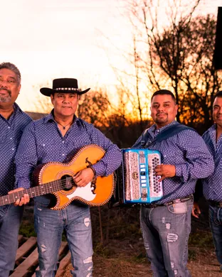 Los Palominos