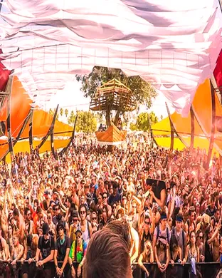 Nora En Pure