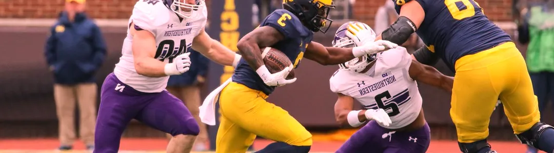 Northwestern Wildcats