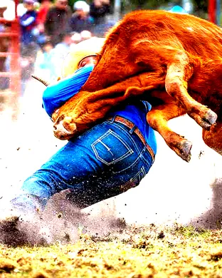 PRCA Rodeo