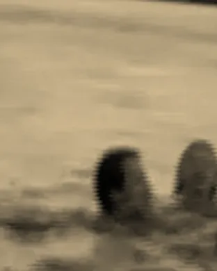 Racing Mount Pleasant