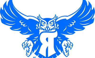 Rice Owls