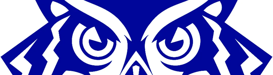 Rice Owls