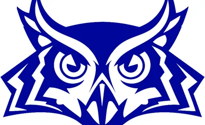 Rice Owls