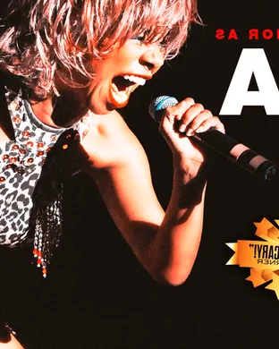 Simply The Best - Tina Turner Tribute