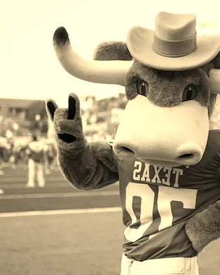 Texas Longhorns