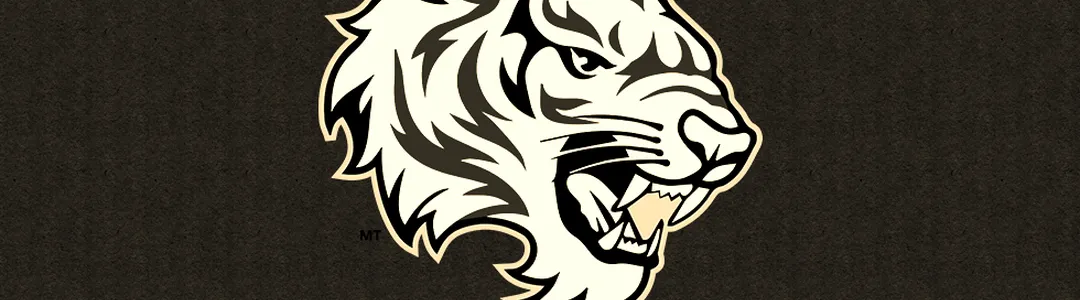 Texas Southern Tigers