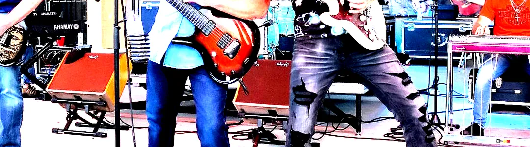 The Bellamy Brothers