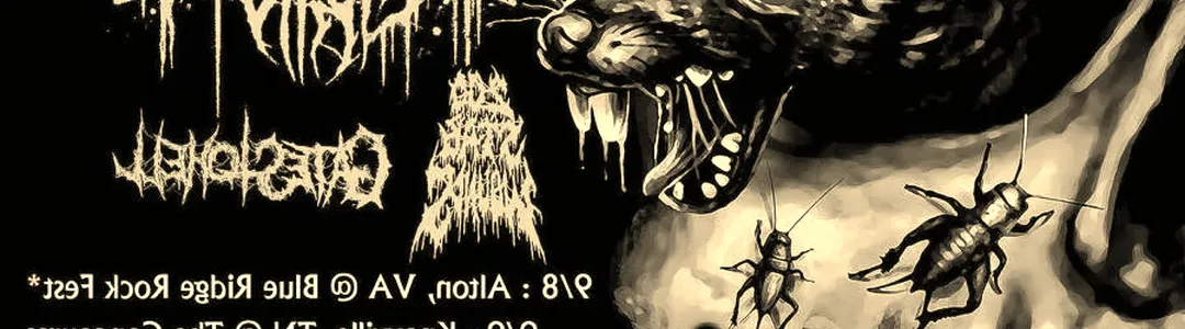 The Black Dahlia Murder
