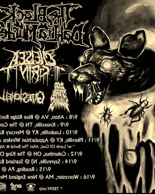 The Black Dahlia Murder