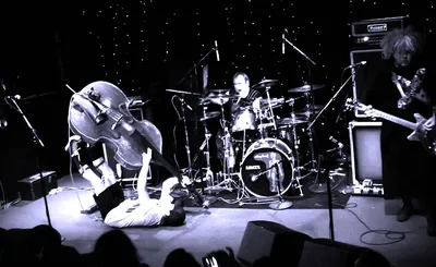 The Melvins