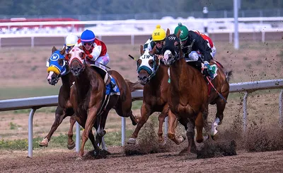 Thoroughbred Racing