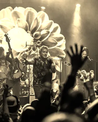 Tripping Daisy & Jumprope