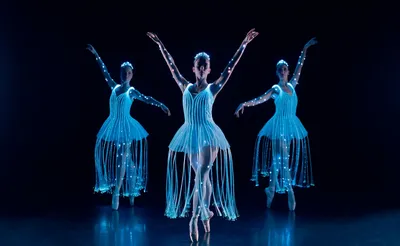 We Call It Ballet: Sleeping Beauty Dance and Light Show