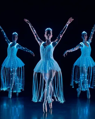 We Call It Ballet: Sleeping Beauty Dance and Light Show Houston