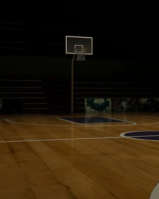 TCU Horned Frogs Women's Basketball