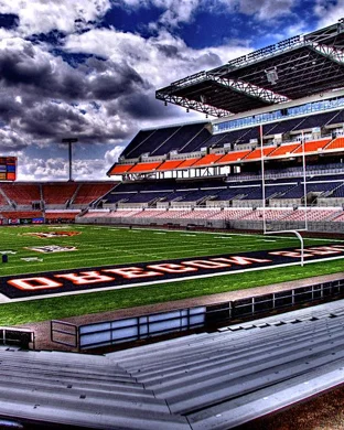 Bluebonnet Cup Houston