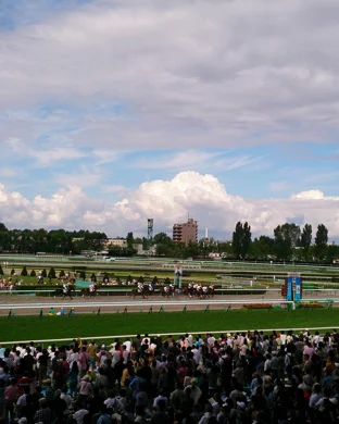 Import Face-Off sports event