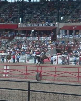 Katy Livestock Show & Rodeo sports event