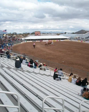 Houston Livestock Show And Rodeo: Kelly Clarkson