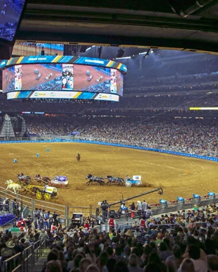 Houston Livestock Show And Rodeo - Grounds Admission Only sports event