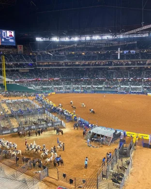 Houston Livestock Show And Rodeo: Dwight Yoakam