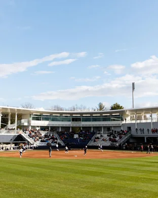 Baylor Bears Softball vs. Houston Cougars sports event