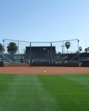 Houston Cougars Softball