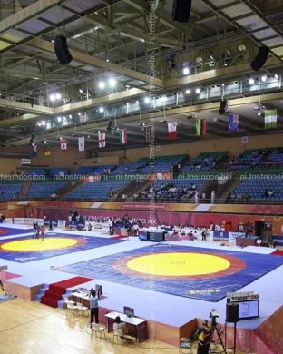 Micro Wrestling Federation Houston