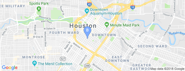 Bronze Peacock At The House Of Blues - Houston 